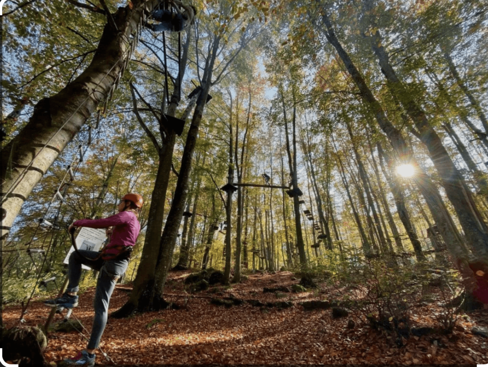 Immagine parco CERWOOD
